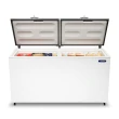 Freezer Horizontal Metalfrio Dupla Ação 2 Portas 546 Litros Branco 220V DA550